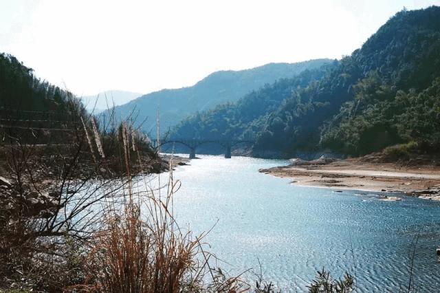 连阿里巴巴都点名！拿奖拿到手软的“葡萄王”来了~入园采摘，尽享千元农家菜