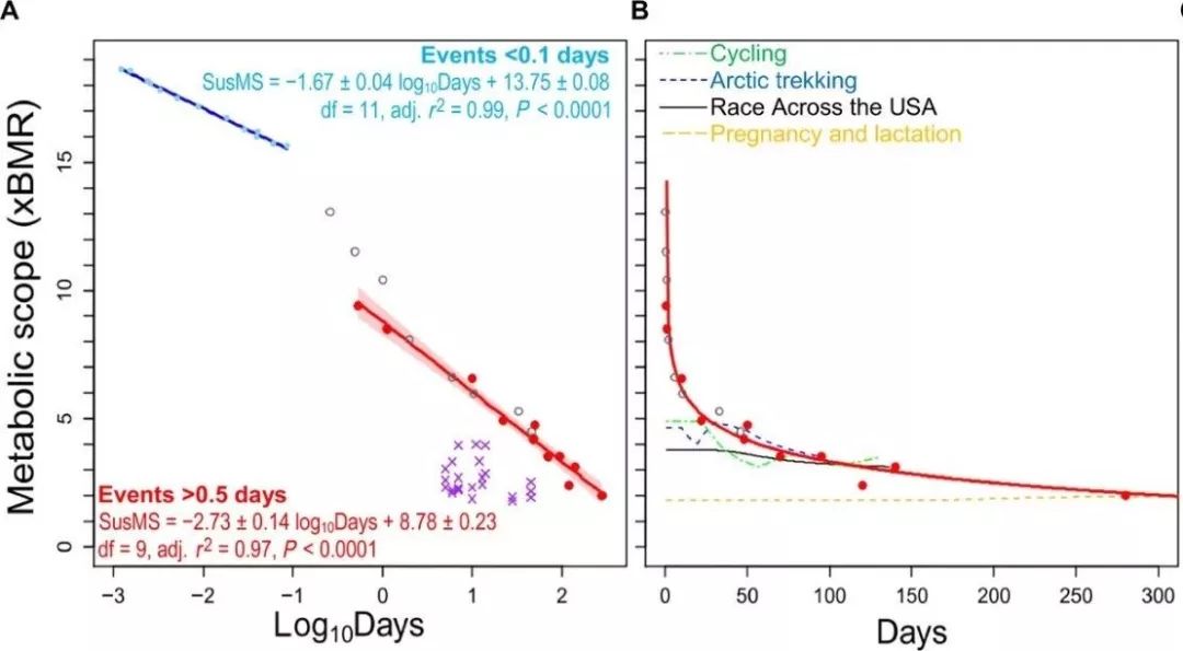 耐力运动的身体极限,长期高强度锻炼会减缓寿命