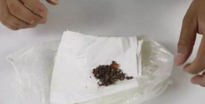 面粉怎样保存不生虫不发霉,家里面粉容易生虫子怎么办