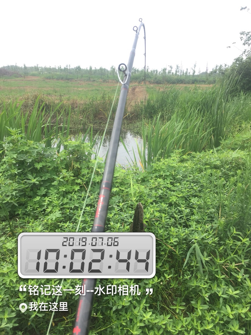 雷强2020年视频,2019雷强视频