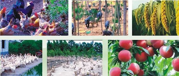 中国那些美丽到醉人的乡村,乡村旅游有哪些特色村庄