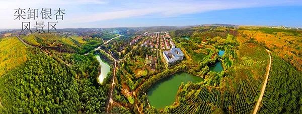 中国那些美丽到醉人的乡村,乡村旅游有哪些特色村庄