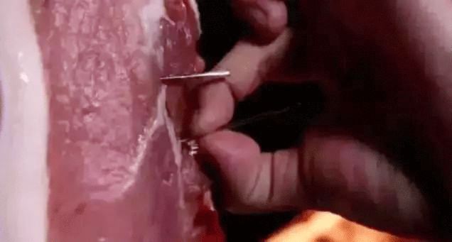 十大危险玩具爸爸妈妈一定要注意,十大最危险玩具会要命