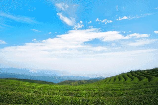 东钱湖度假村门票,东钱湖有度假村吗