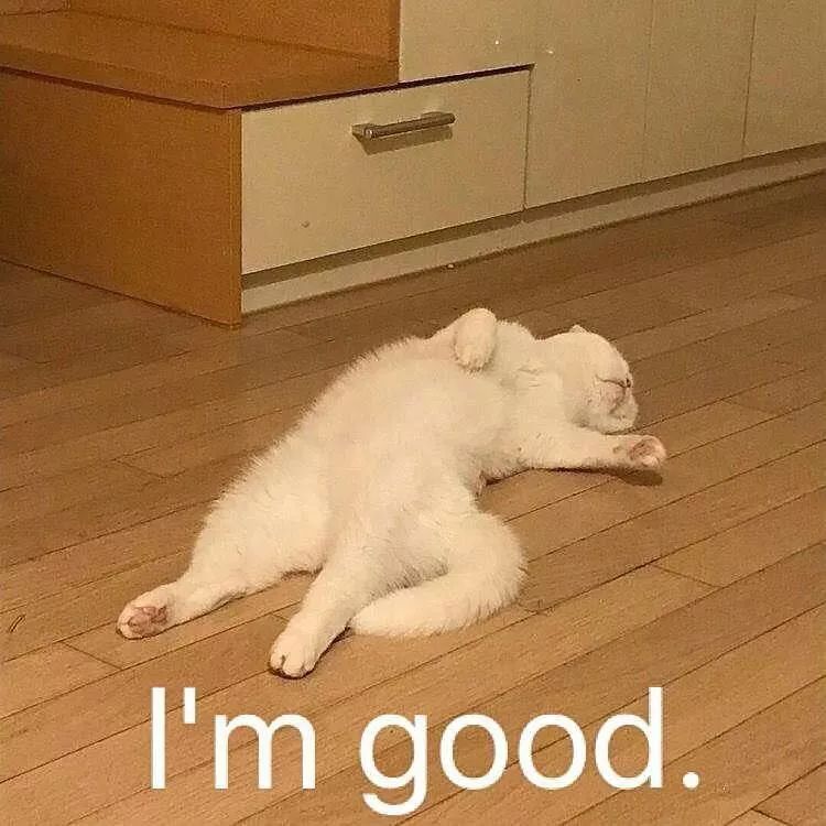 双十一预售哪些值得买,双十一是预售划算还是当天划算