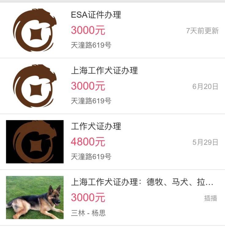 烈犬伤人怎么处罚,禁养犬被抓走的狗怎么处理