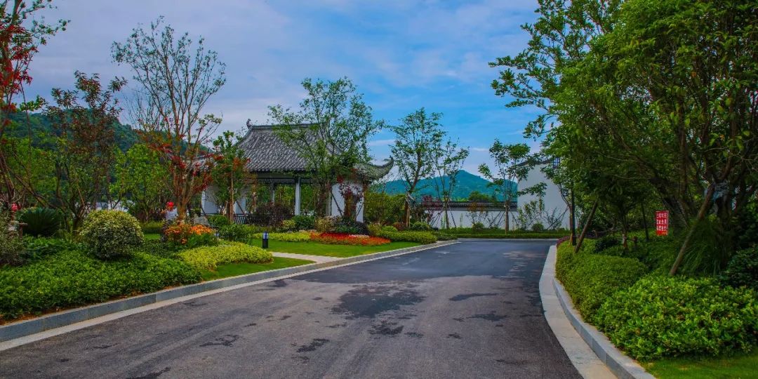 婺源豪华酒店,婺源绝美酒店