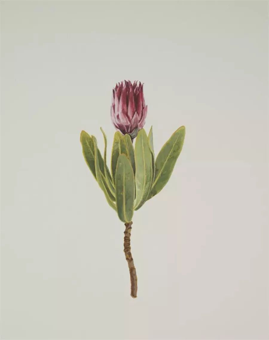 7月份北京艺术展览推荐,北京7月展览活动2018