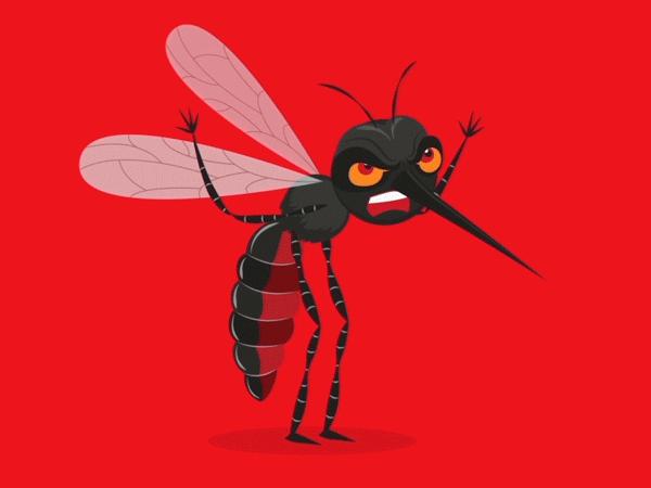 蚊子驱蚊音乐,蚊子灭蚊神曲