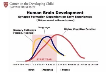 这6种家庭的孩子10年后都会有出息,未来有出息的孩子出自这几种家庭