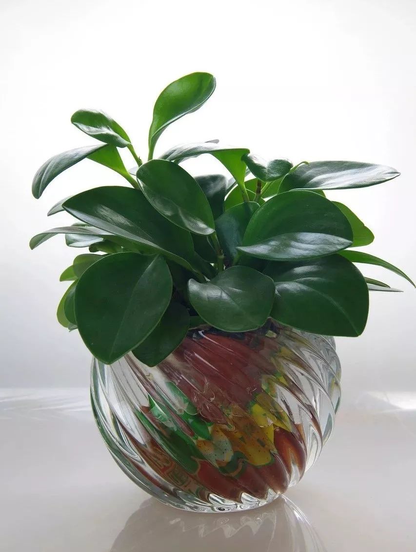 空调房老是有异味怎么办,空调房里感觉有臭味怎么回事