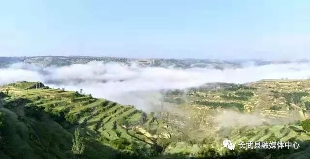 长武避暑胜地,长武青龙山避暑