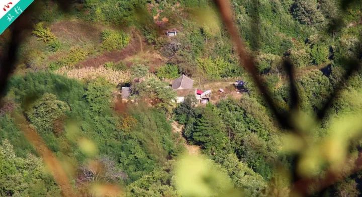 洛阳养子沟自驾游攻略,洛阳养子沟的景点