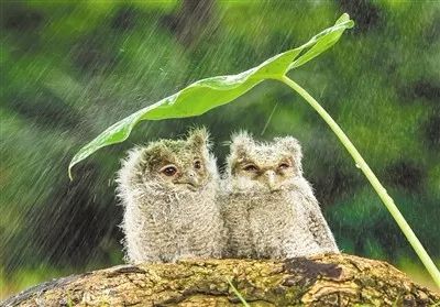 夏天湿气重这几类食物越吃越重,夏天湿气重手痒起疙瘩怎么办