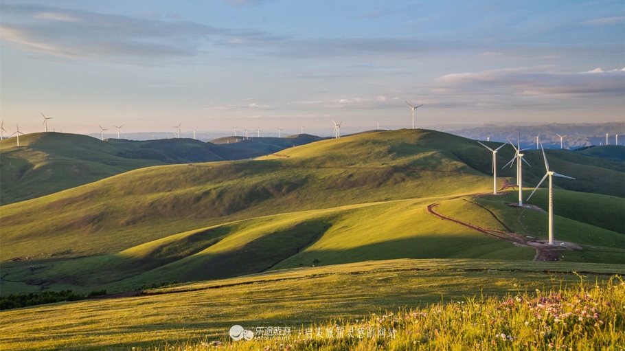 这个夏天来塞罕坝看看吧,坝上草原森林