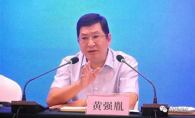 浠水现任县长黄强,红安黄强胤