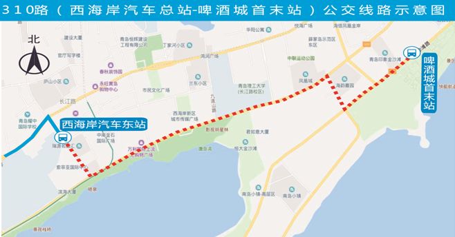 青岛有跨胶州湾大桥的公交车吗,胶州湾跨海大桥通公交吗