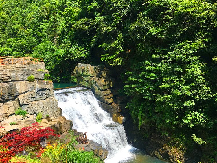 三清山国庆节过后门票免费开放,上饶三清山国庆节免门票吗