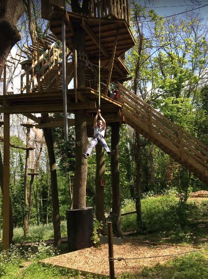 鏍戦《鎺㈤櫓鍏洯娓哥帺,鏍戦《鎺㈤櫓鍏洯娓哥帺鏀荤暐