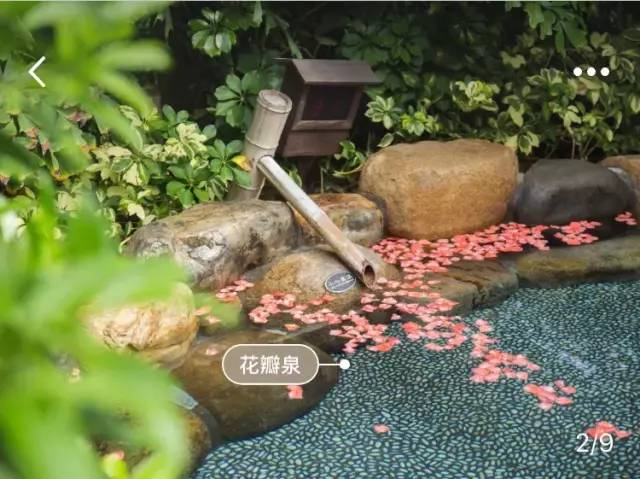 沉浸式泡温泉夏日玩水圣地推荐,送福利啦