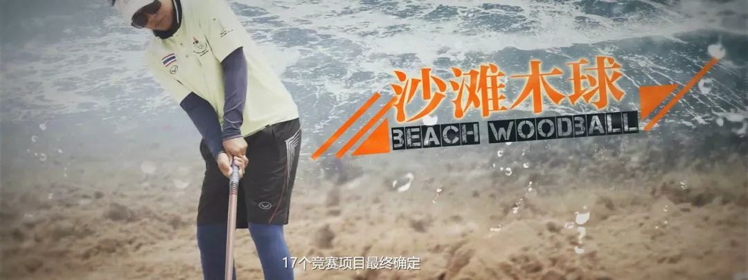 涓変簹浜氭矙浼氱粍濮斾細鎴愬憳,2020骞翠笁浜氫簹娌欎細