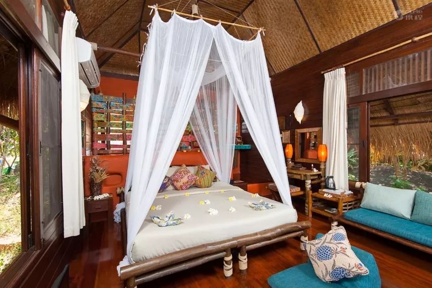 全球最受欢迎树屋酒店｜夜晚坠入大自然的梦乡，清晨在森林的枝桠间醒来