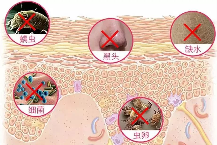 脸上搓出3斤泥！难怪又黄又暗又黑头！10秒给脸蛋“剥壳”，厉害