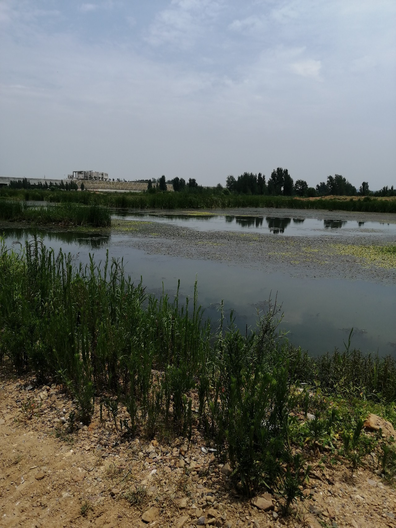 鱼口轻不中鱼掌握这三点轻松爆护,打黑障碍多鱼口滑怎么解决