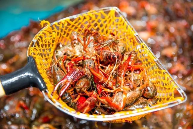 实拍！青岛第二家盒马来了，龙虾89/只、面包蟹98/只