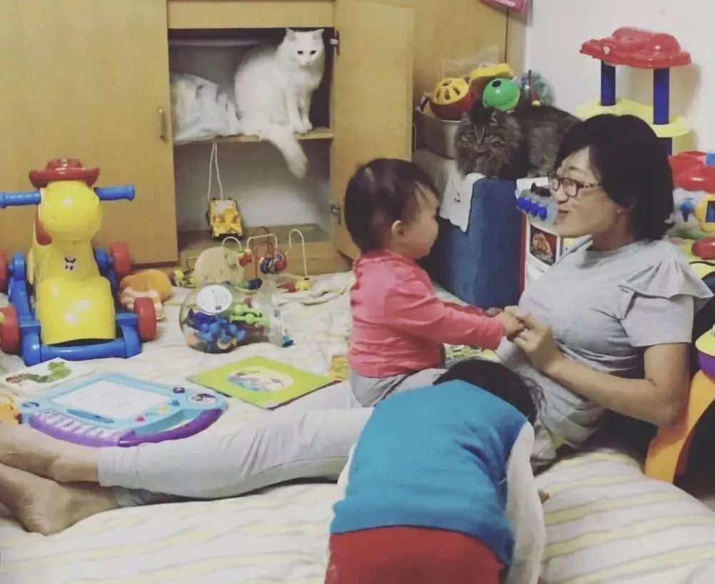 准备怀孕的人可以养狗养猫吗,怀孕家里养猫对胎儿有影响吗