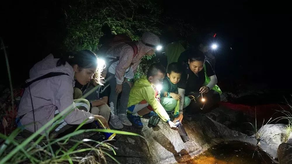 大明山视频播放,大明山视频完整版