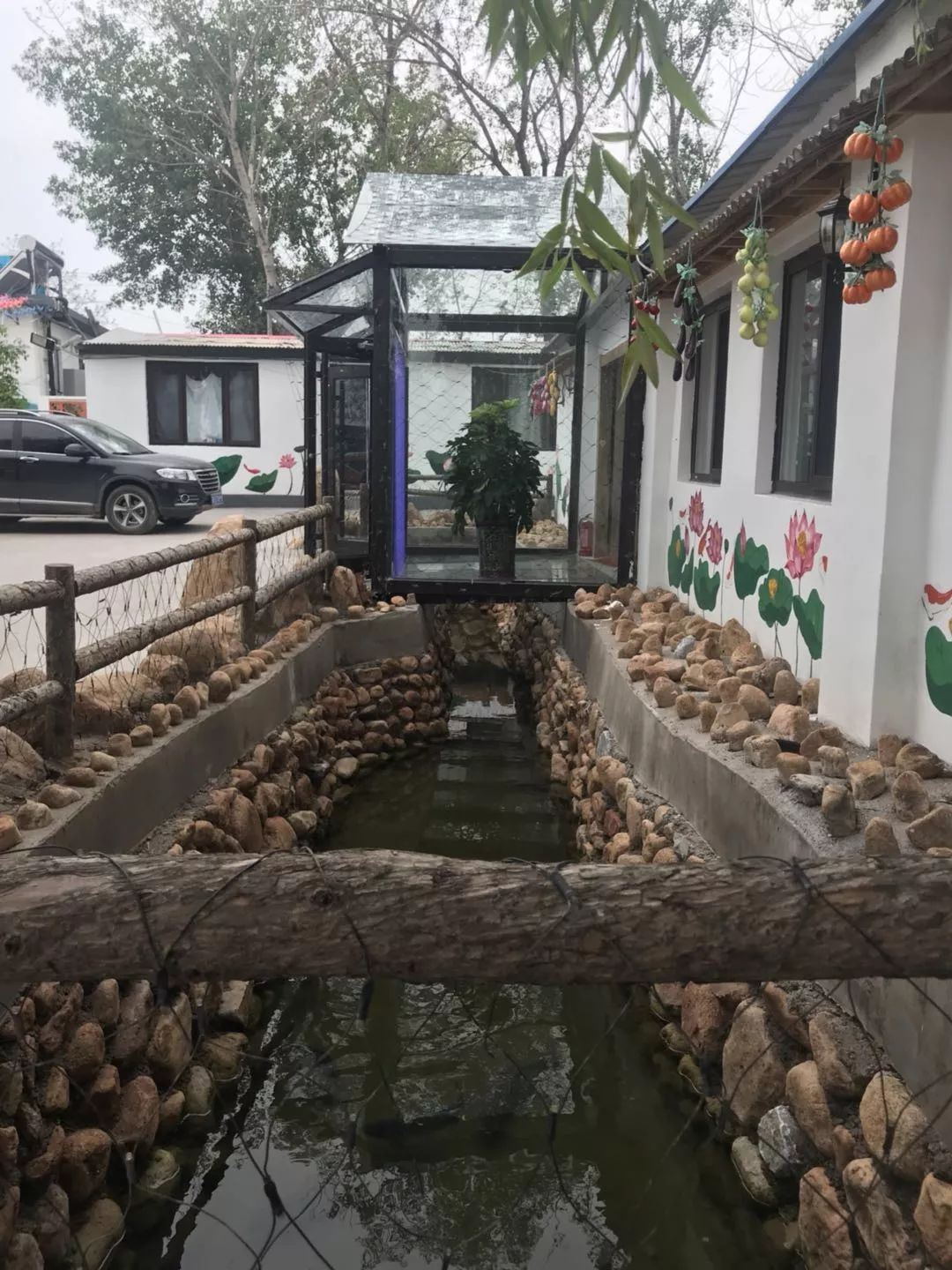 藏在海港区的打卡圣地,开导航都不一定找得到!