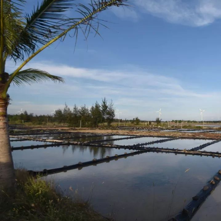 湛江有没有好景点,湛江有没有什么景点