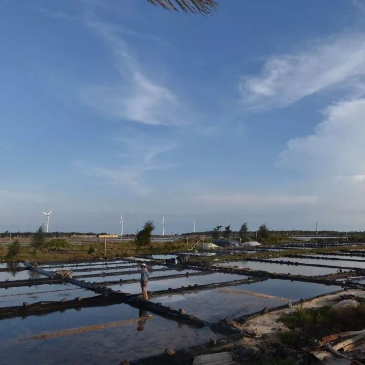 湛江有没有好景点,湛江有没有什么景点