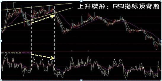 一个猴子的故事大全,一个猴子真实故事