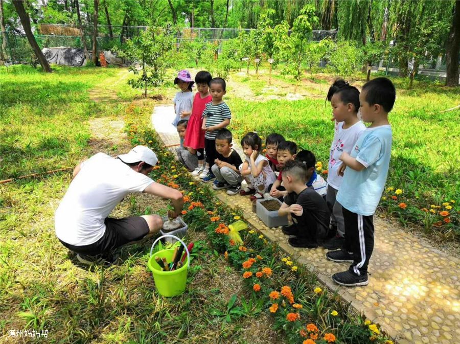 幼儿园免费入园体验,幼儿园免费体验班可以去体验吗