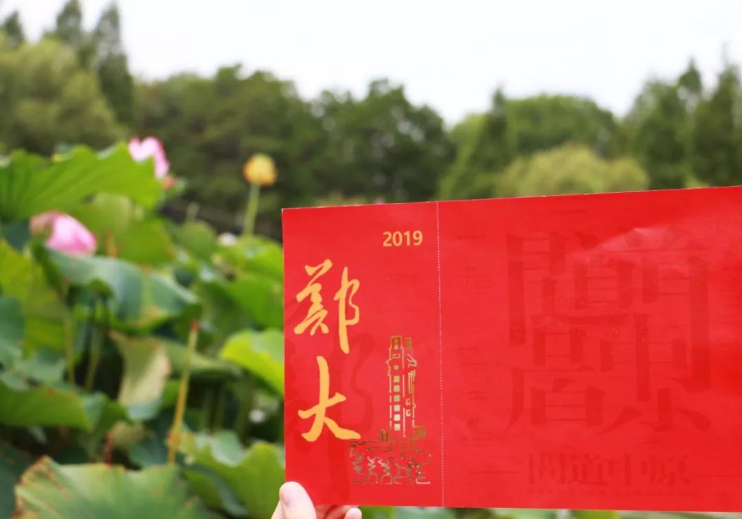 河南高校花式录取通知书,大学录取通知书河南省