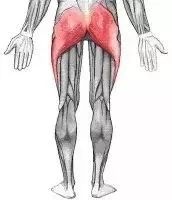 乐坛大佬组团关门“搞副业”，小清新入职报道狂减40斤？