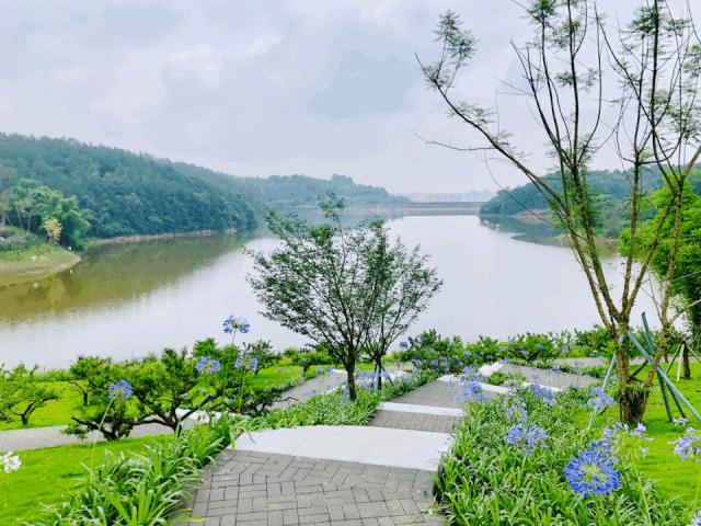 成都双流区旅游省钱攻略推荐,五一在双流适合去哪旅游