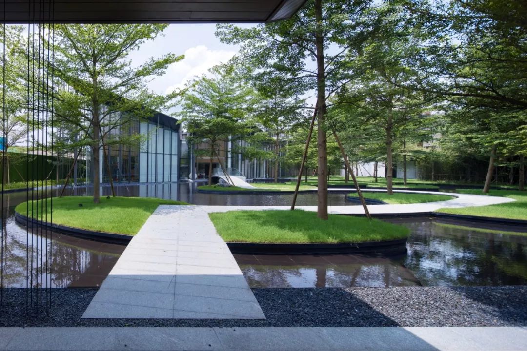 石语慕松林，水苑倾闻荫|广州保利·花城纪