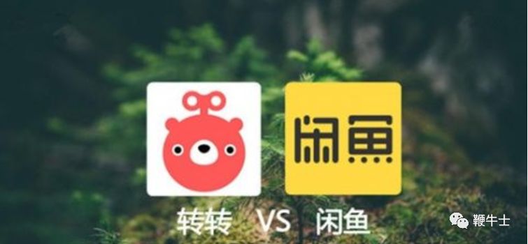 非法买卖国家重点保护动物,非法买卖动物产品