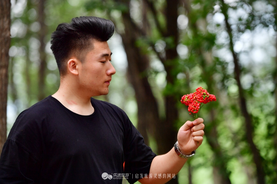 云岭深山自然美景,云岭野山参风景旅游区