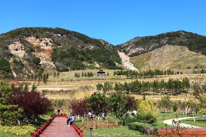 旅行春色棠梨湖公园,旅行大连棠梨湖公园秋叶风景