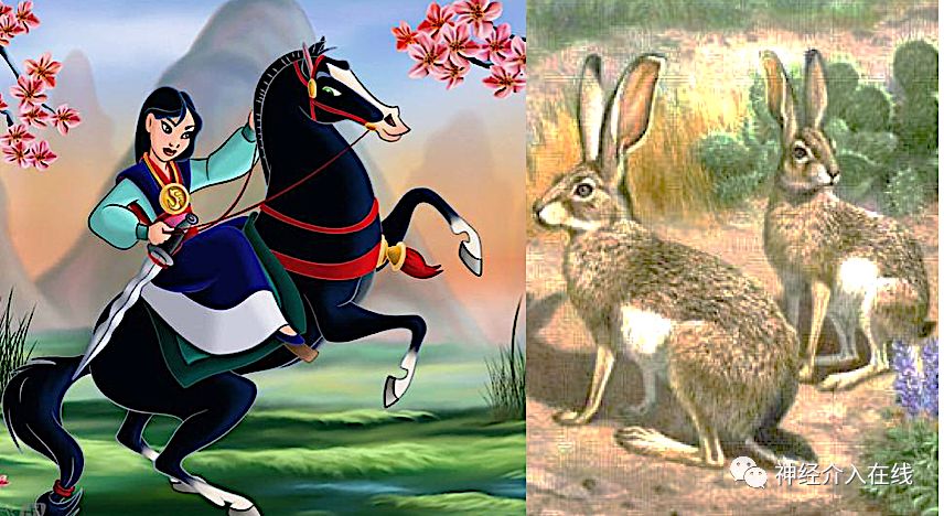 旭日东升第三式,旭日东升第三部