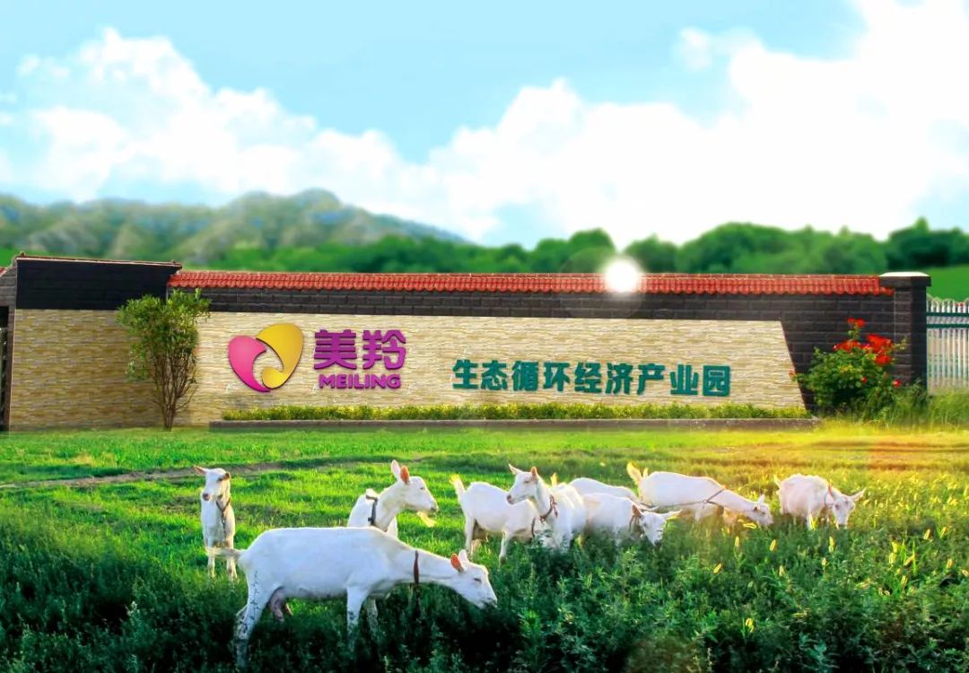 cbme母婴展会2021,cbme母婴展2024