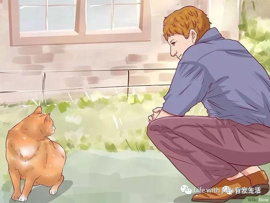 如何捕捉泥鳅,如何捕捉苍蝇