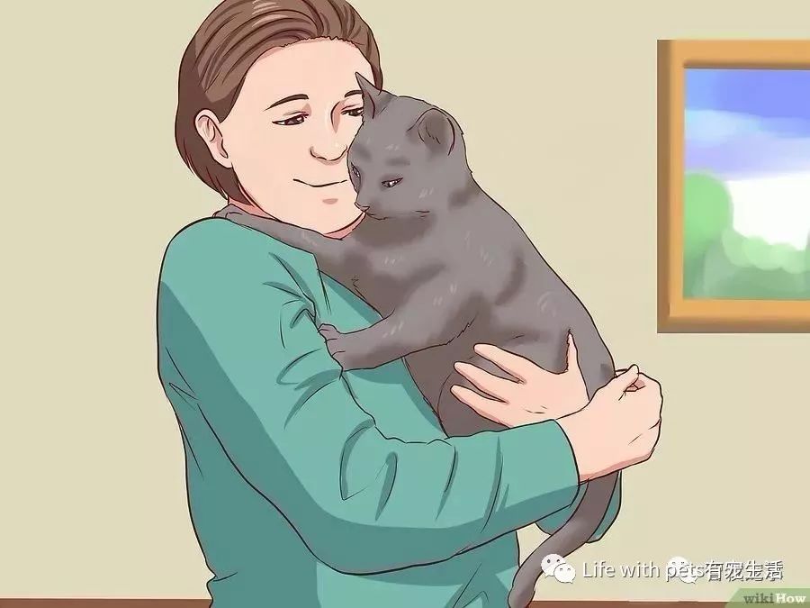 如何捕捉泥鳅,如何捕捉苍蝇