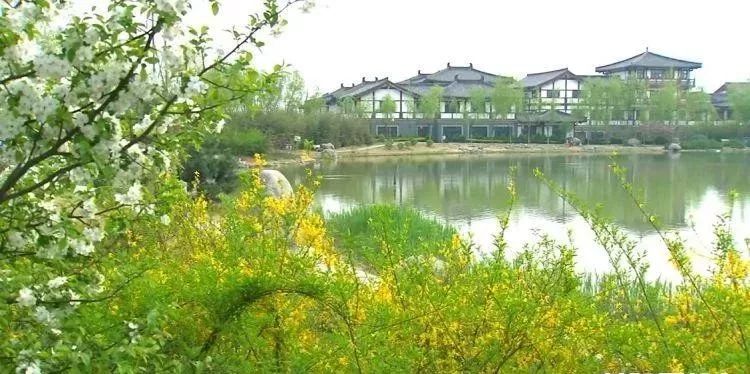 关于创文我们应该做什么,创文进行时最新信息