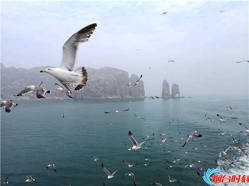 烟台海边长岛美景,烟台最美海岛之长岛