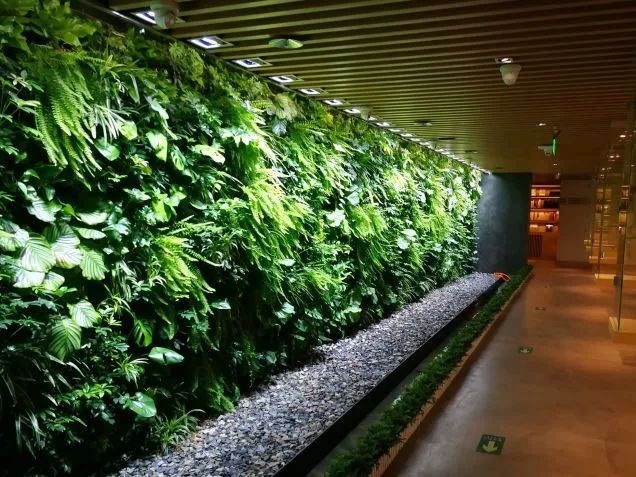 都上央视了！大学校园书店怎么突然这么火？